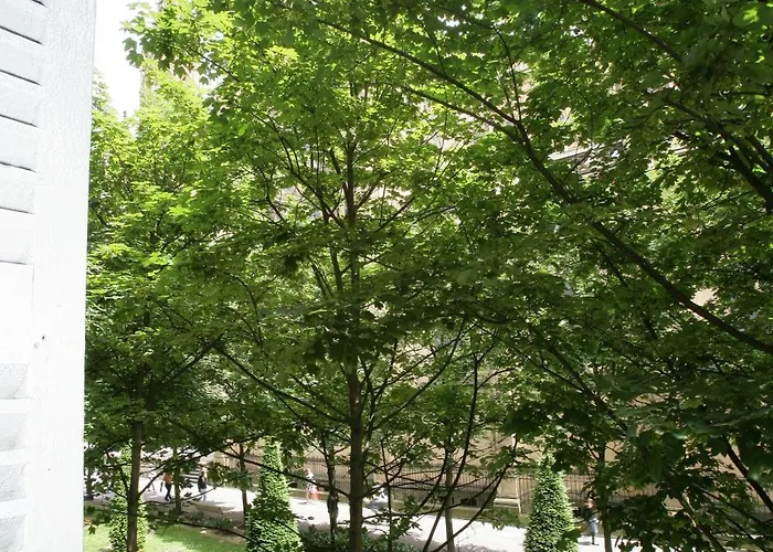 San Ignacio Centro سان سيباستيان